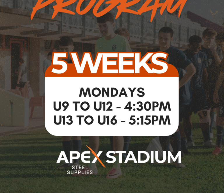 FNT Goalkeeper Development Program